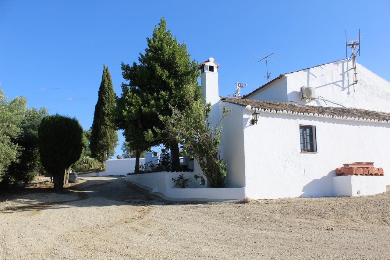 Casa Rural Faltriquera Setenil Setenil De Las Bodegas Экстерьер фото